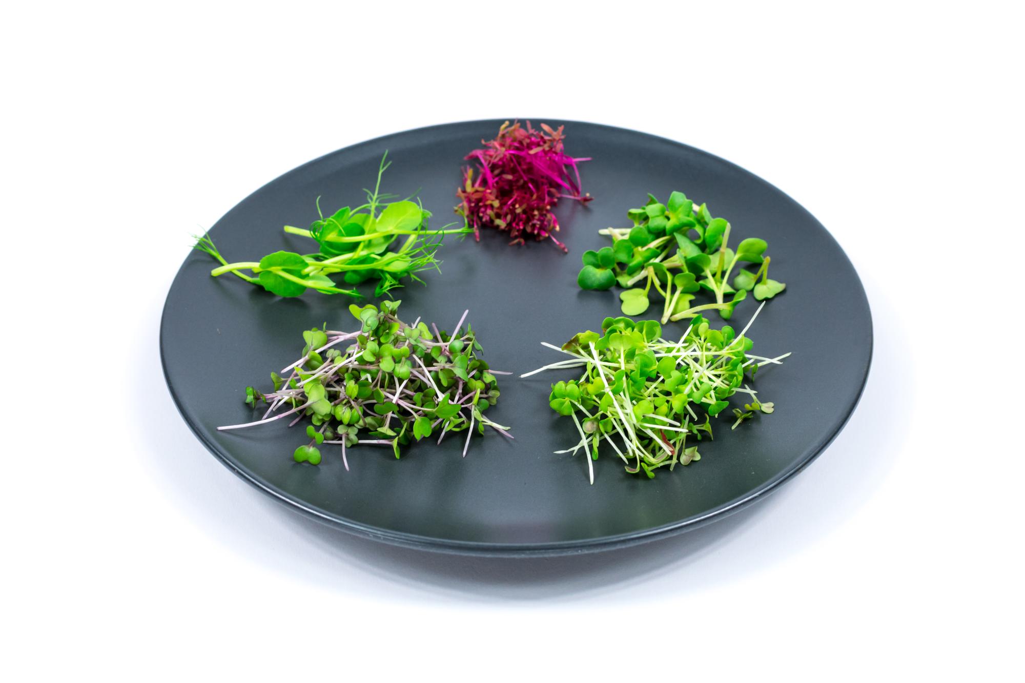 Plated starter with edible flowers and microgreens